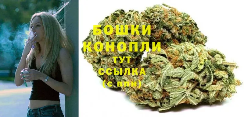 Конопля OG Kush  закладка  Чегем 